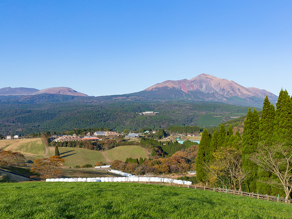 山のトレッキングコース